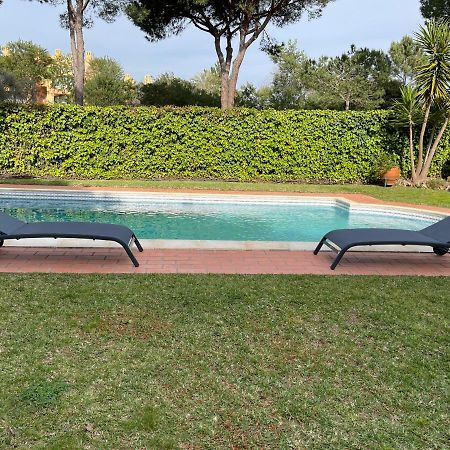 Algarvila فيلامورا المظهر الخارجي الصورة